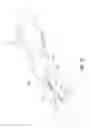 Fig. 22 - Adjustable ergonomic keyboard