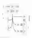 Fig. 06 - Speaker cooling