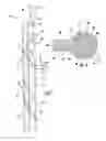 Fig. 02 - OPTICAL GRADE LIGHT PIPE