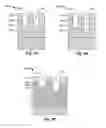 Fig. 49 - Contact structure and forming method