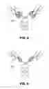 Fig. 04 - IL-17A/F cross-reactive monoclonal antibodies and methods of using the same