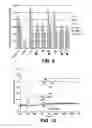 Fig. 06 - IL-17A/F cross-reactive monoclonal antibodies and methods of using the same