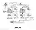 Fig. 07 - IL-17A/F cross-reactive monoclonal antibodies and methods of using the same