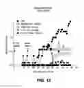 Fig. 08 - IL-17A/F cross-reactive monoclonal antibodies and methods of using the same