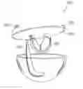 Fig. 01 - Treating leukemia with a whole, leech saliva extract