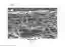 Fig. 03 - Porous electrode base material, method for manufacturing same, and precursor sheet