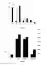 Fig. 06 - METHOD TO PREDICT THE PRESENCE OF INFLAMMATION OR ITACONIC ACID, IRG1 AND/OR PROTEIN IRG1 IN A SUBJECT AND PHARMACEUTICAL COMPOSITION FOR TREATING OR PREVENTING INFLAMMATION