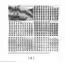 Fig. 02 - Method for processing blood sample