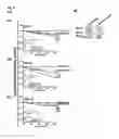 Fig. 07 - Method for effective management of helicoverpa armigera