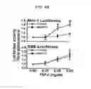 Fig. 08 - Genes and proteins associated with angiogenesis and uses thereof