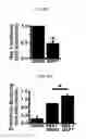 Fig. 09 - Genes and proteins associated with angiogenesis and uses thereof