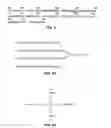 Fig. 02 - Novel Composition for Extracorporeal Reduction of Beta-Amyloids and Process for Producing Thereof