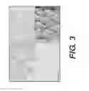 Fig. 04 - Phase Contrast Microscopy With Oblique Back-Illumination