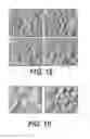 Fig. 20 - Phase Contrast Microscopy With Oblique Back-Illumination