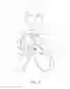 Fig. 02 - Electrocardiogram package