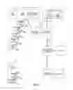 Fig. 02 - METHODS, APPARATUS, SYSTEMS AND COMPUTER READABLE MEDIUMS FOR ANONYMIZED IDENTIFICATION OF PAYMENT CARD ACCOUNTS BELONGING TO A SAME ENTITY