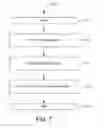Fig. 08 - Automatic column resizing