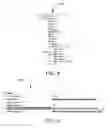 Fig. 09 - Automatic column resizing