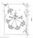 Fig. 02 - Temporal graph visualization
