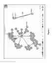 Fig. 05 - Temporal graph visualization