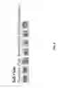 Fig. 07 - Electronic signature management system and method