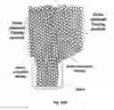 Fig. 74 - Systems for custom coloration