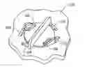 Fig. 01 - Quarter turn fastener