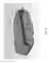 Fig. 14 - Image display device