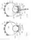 Fig. 09 - Tire assembly for a bicycle rim
