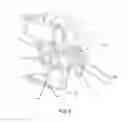 Fig. 05 - Bogie for rail vehicle