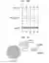 Fig. 11 - Ion beam processing method and ion beam processing apparatus