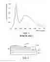 Fig. 02 - White LED chip and white LED packaging device