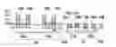 Fig. 01 - FinFET structure with cavities and semiconductor compound portions extending laterally over sidewall spacers