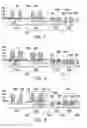 Fig. 04 - FinFET structure with cavities and semiconductor compound portions extending laterally over sidewall spacers