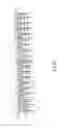 Fig. 03 - LED lamp string
