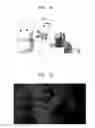 Fig. 06 - Method and apparatus generating color and depth images