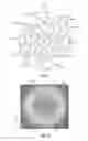 Fig. 07 - Thermal management for light emitting diode fixture