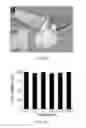 Fig. 12 - Nanoparticles-Based Taggant Systems and Methods