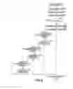 Fig. 06 - Image processing apparatus and method, and program
