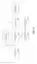 Fig. 02 - Method of evaluating image correlation with speckle patter