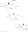 Fig. 11 - Macrocyclic picolinamides compounds with fungicidal activity