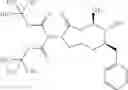 Fig. 293 - Macrocyclic picolinamides compounds with fungicidal activity