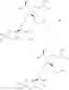 Fig. 33 - Macrocyclic picolinamides compounds with fungicidal activity