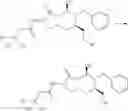 Fig. 53 - Macrocyclic picolinamides compounds with fungicidal activity