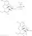 Fig. 07 - Process for the preparation of morphine analogs via metal catalyzed N-demethylation/functionalization and intramolecular group transfer