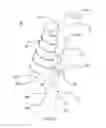 Fig. 02 - Needle based helical coil safety device