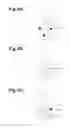 Fig. 08 - System and method for providing visual suggestions for document classification via injection