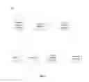 Fig. 06 - Revocable platform identifiers