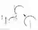 Fig. 67 - Rodent comprising mouse artificial chromosome vector