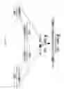 Fig. 71 - Rodent comprising mouse artificial chromosome vector